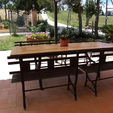 Il Giardino Degli Ulivi *