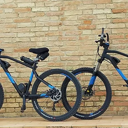 Il Giardino Degli Ulivi * Appignano (Macerata)