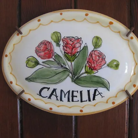 Il Giardino Degli Ulivi *