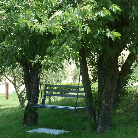 Il Giardino Degli Ulivi
