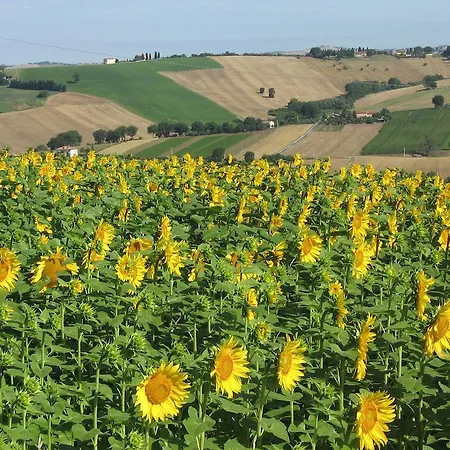 Il Giardino Degli Ulivi