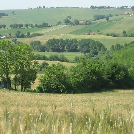 Il Giardino Degli Ulivi