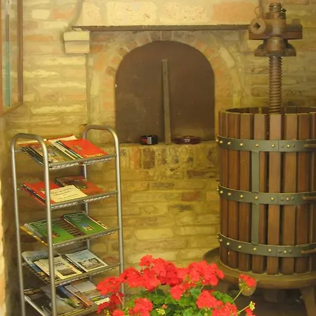 Il Giardino Degli Ulivi