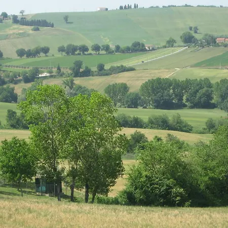 Il Giardino Degli Ulivi