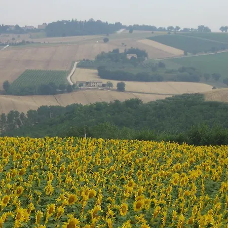 Apartamento Il Giardino Degli Ulivi