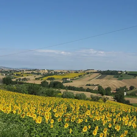 Il Giardino Degli Ulivi Appignano (Macerata)