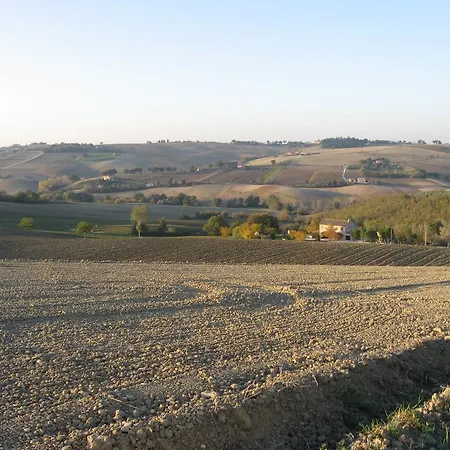 Il Giardino Degli Ulivi