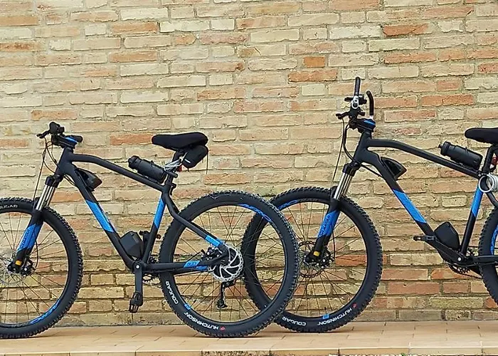 Il Giardino Degli Ulivi * Appignano (Macerata)