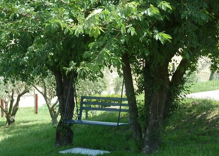 Il Giardino Degli Ulivi