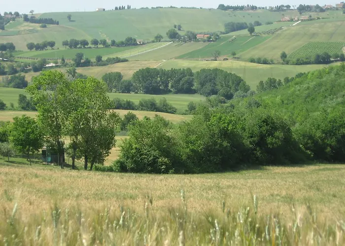 Il Giardino Degli Ulivi