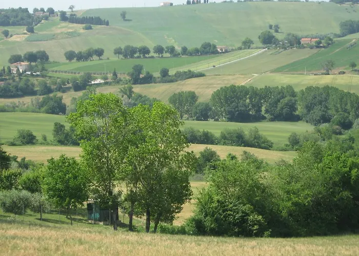 Il Giardino Degli Ulivi