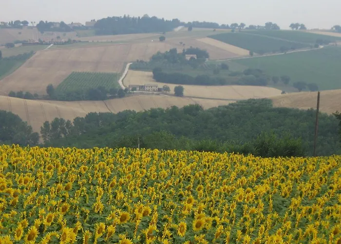 Appartamento Il Giardino Degli Ulivi